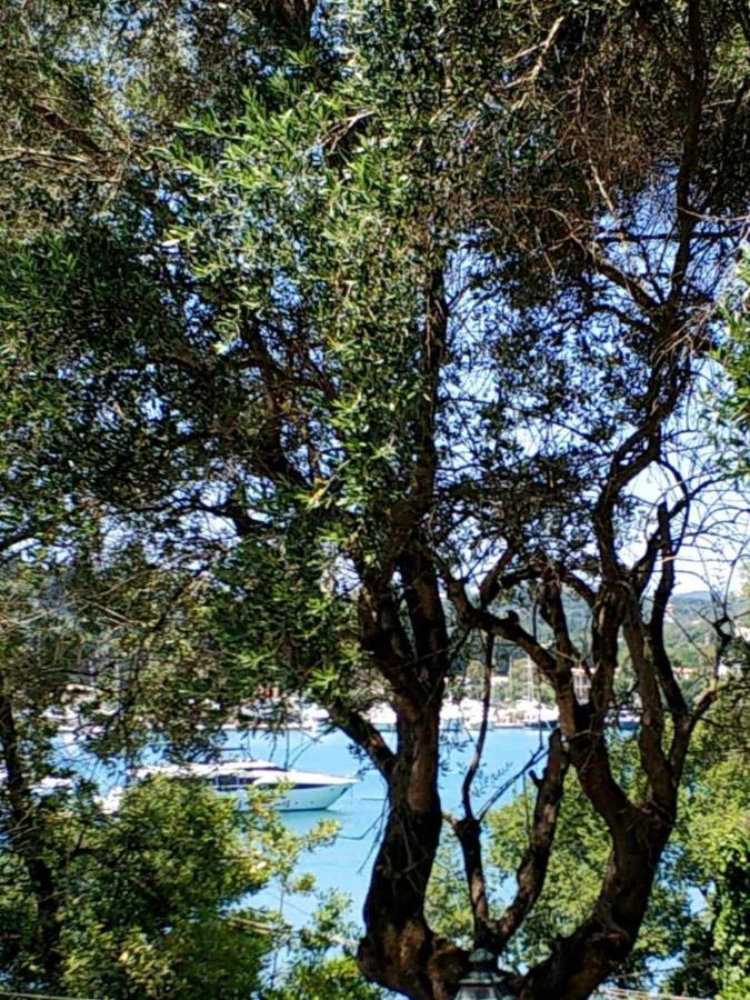 Coritos Apartments Corfu Контокалі Екстер'єр фото